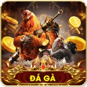 ONBET 14 Đá gà onbet 2025